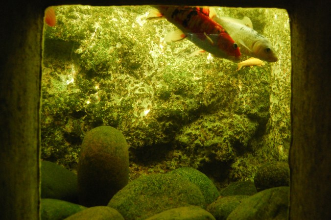 20120814_riodejaneiro_deboracostaesilva_0008