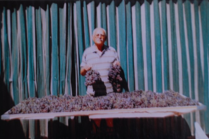 Sergio separando as uvas para produzir vinhos