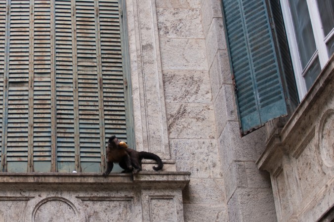 20131122_riodejaneiro_deboracostaesilva_0856