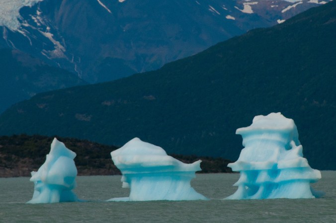 20140217_calafate_deboracostaesilva_0003