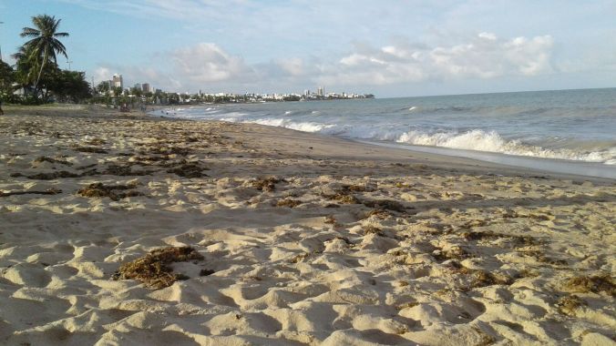 Praia de Manaíra, bem tranquila. Foto: Débora Costa e Silva