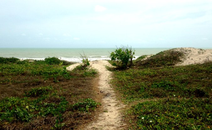 Praia de Intermares, onde as tartarugas marinhas depositam seus ovos. Foto: Débora Costa e Silva