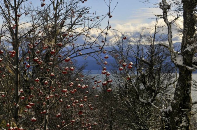 Bariloche - Argentina - 2015