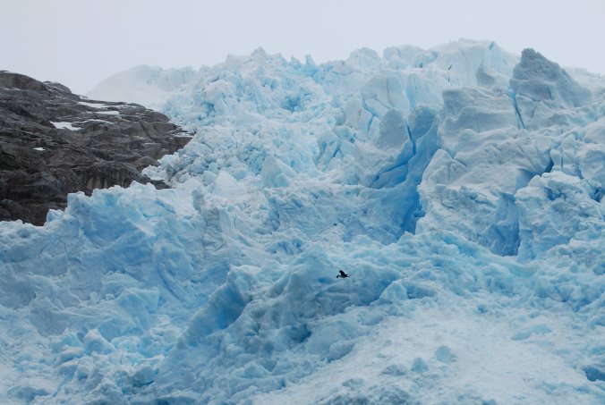 Terra do Fogo - Chile & Argentina - 2009