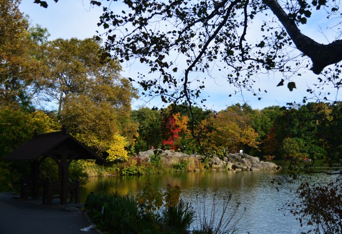Central Park começam a ficar colorido no outono. Foto: Débora Costa e Silva